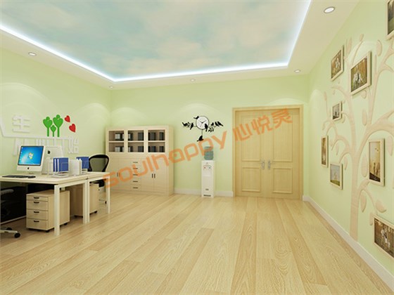 社會心理服務(wù)體系建設(shè)